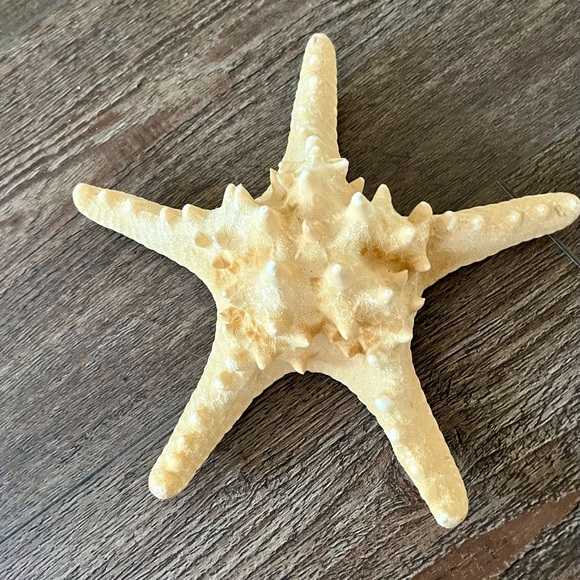 Decorative Starfish Set with Pink Accent - Picture 5 of 13